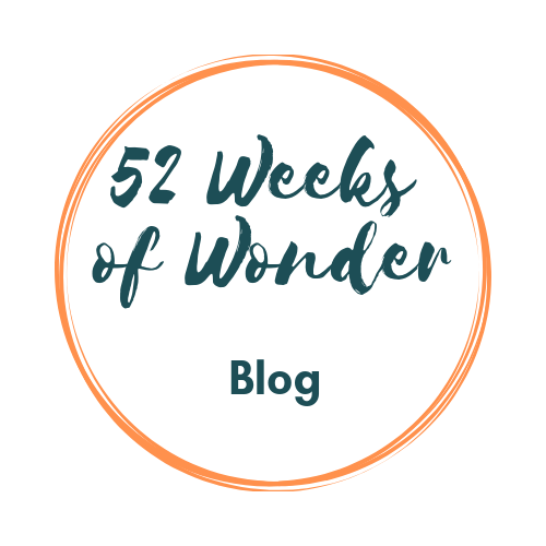 52 Weeks of Wonder Challenge #1